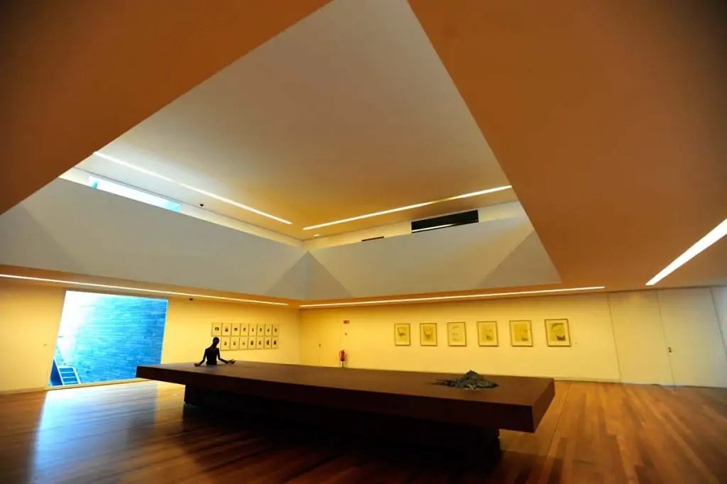 plántulas-museo-de-madera