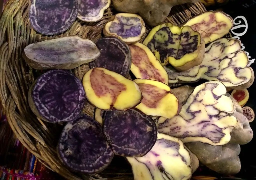 Papas peruanas en el Mercado Municipal