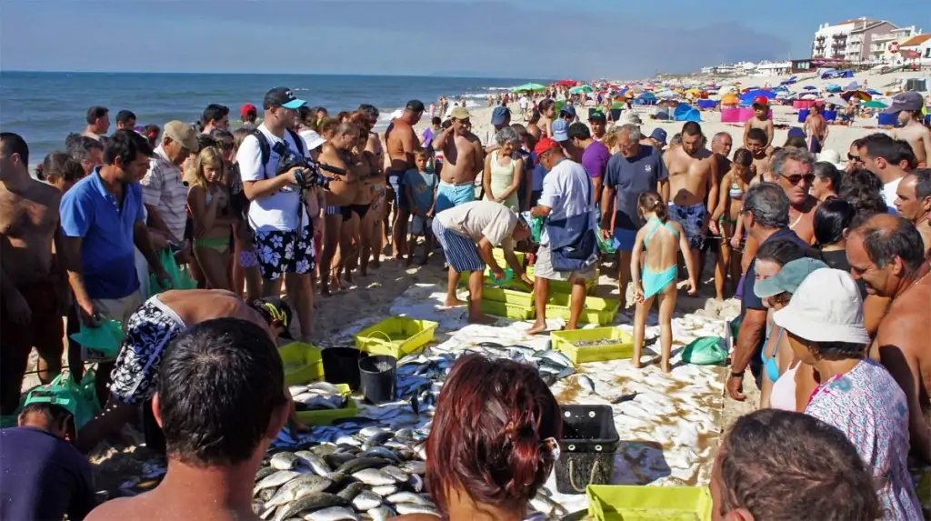 Visita Leiria: playa de Pedrogão
