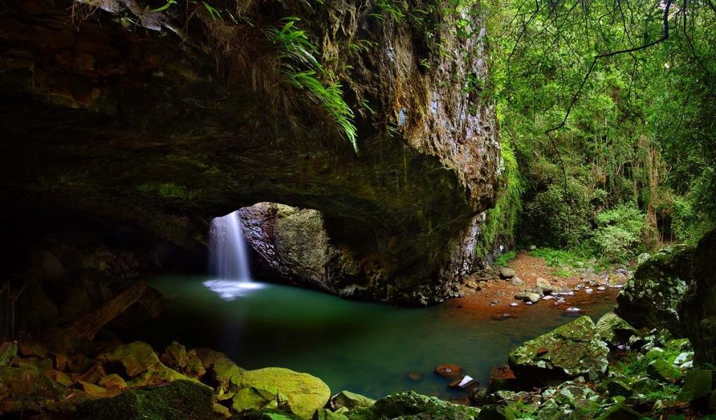 Parque Nacional Springbrook, Costa Dorada