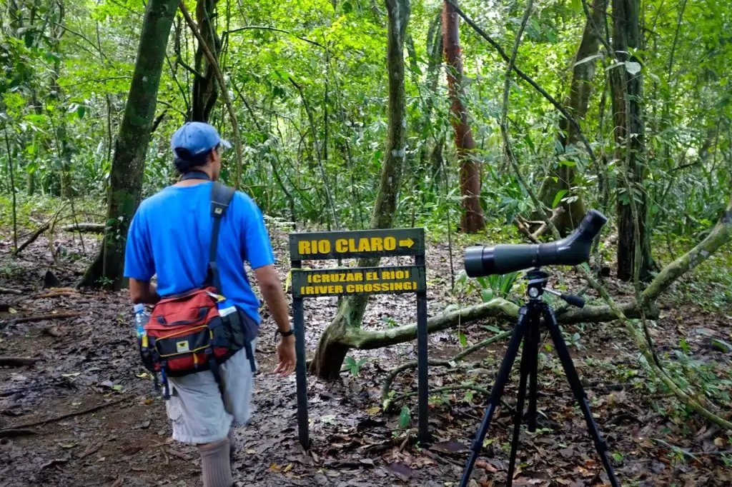 Carlos, guía naturalista en la visita al Parque Nacional Corcovado