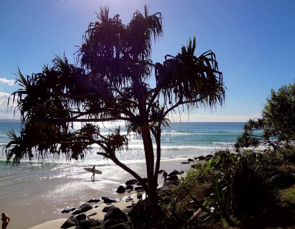 Visita Gold Coast: Kirra Beach
