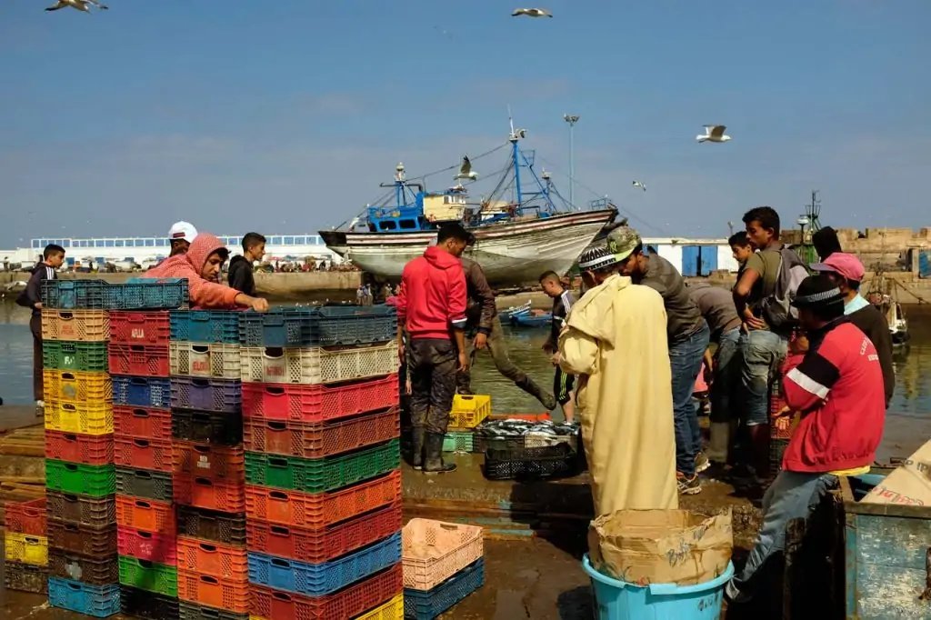 Puerto pesquero, Essaouira