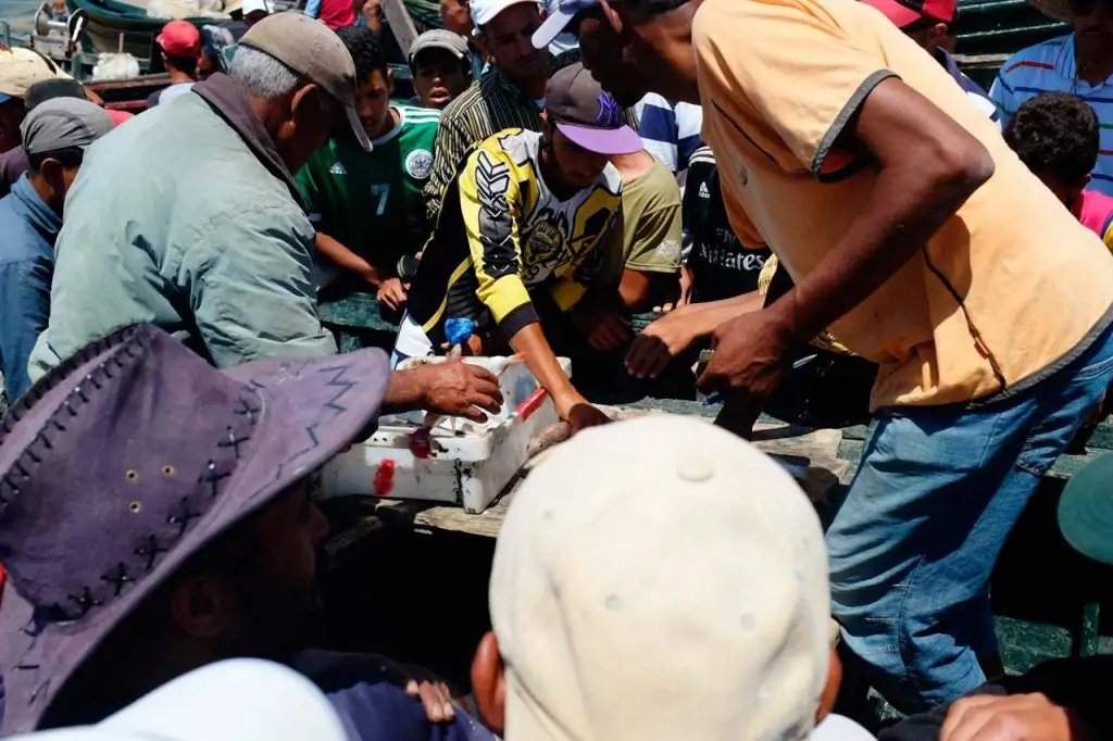 Subasta de pescado en la playa de Oualidia