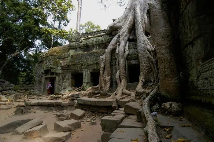 Ta Prohm Angkor