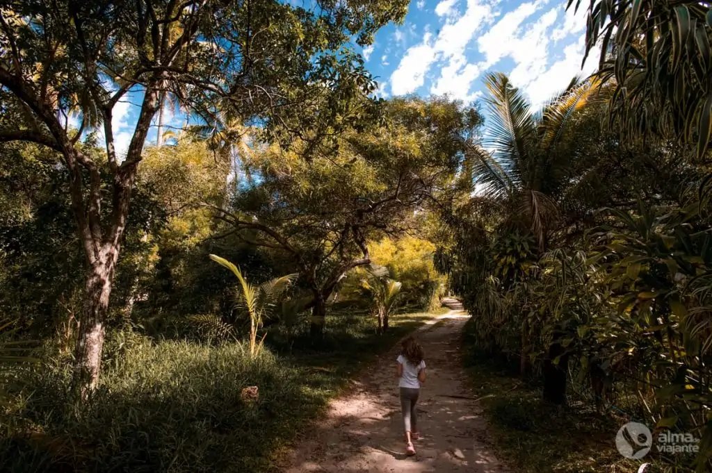 Rutas en la isla des Pins