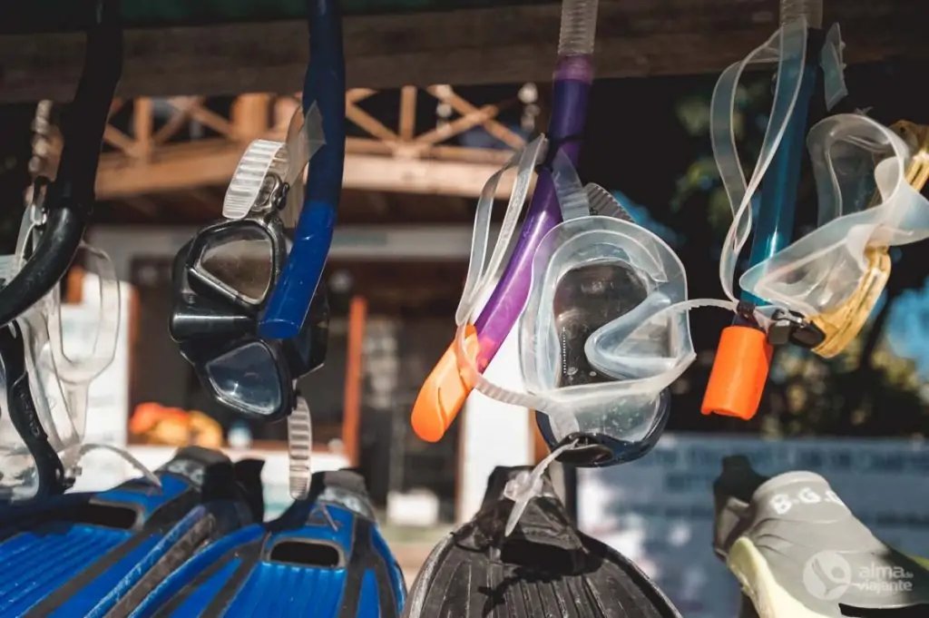 Material de snorkel