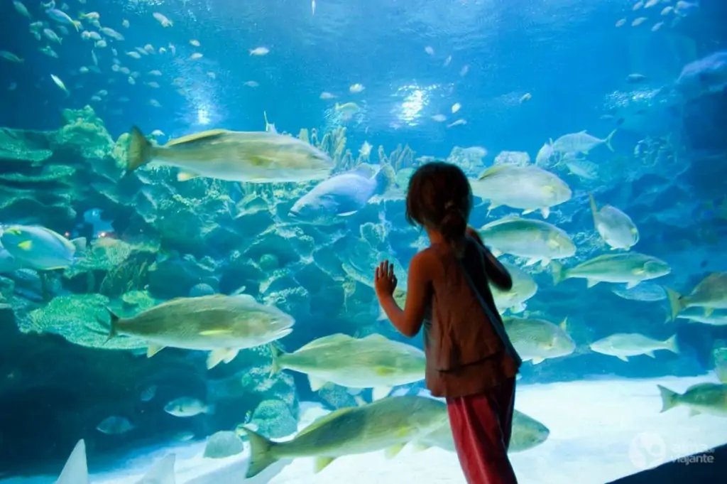 Acuario de Kuala Lumpur