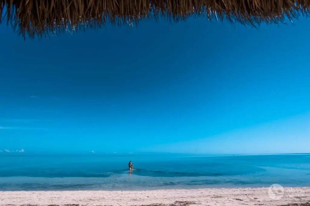 Cayos de Florida