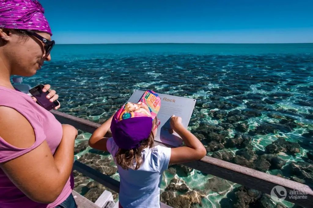 Hamelín, Australia